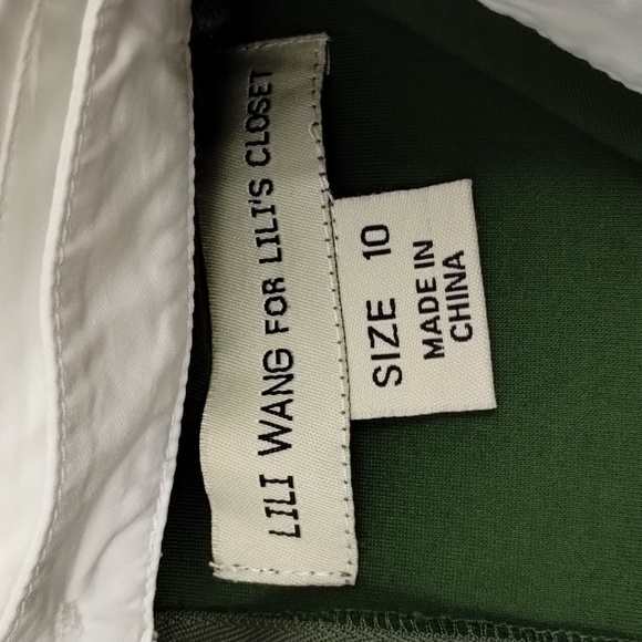 Lili Wang for Lilies Closet Anthro dark green sleeveless dress size 10 pin tuck - Picture 8 of 11